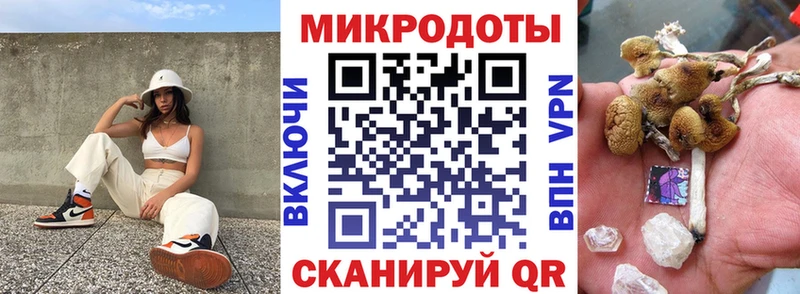 Псилоцибиновые грибы Psilocybine cubensis  Пудож 